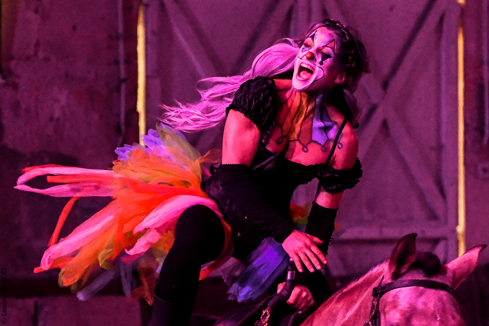 Haras Pin 20221103-0748