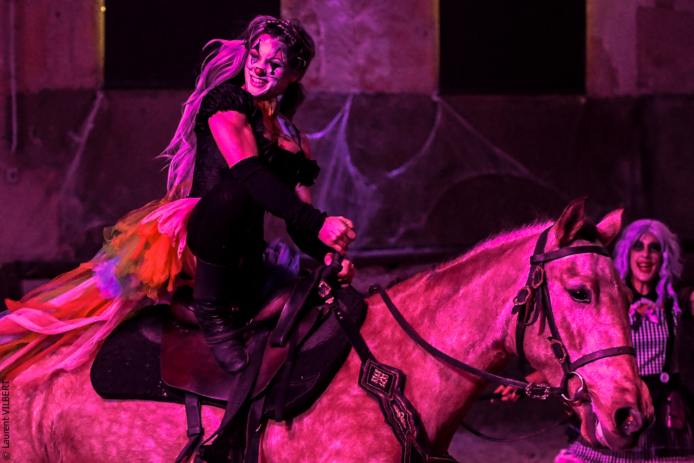 Haras Pin 20221103-0751