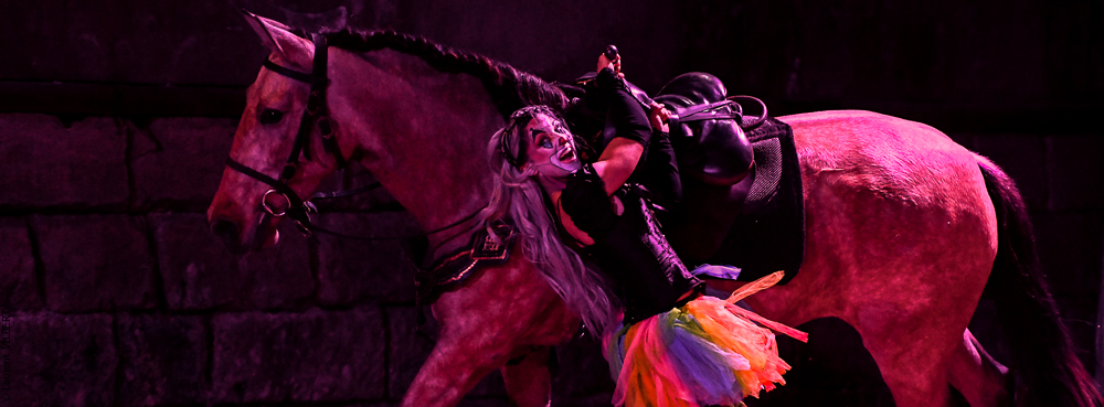 Haras Pin 20221103-0762