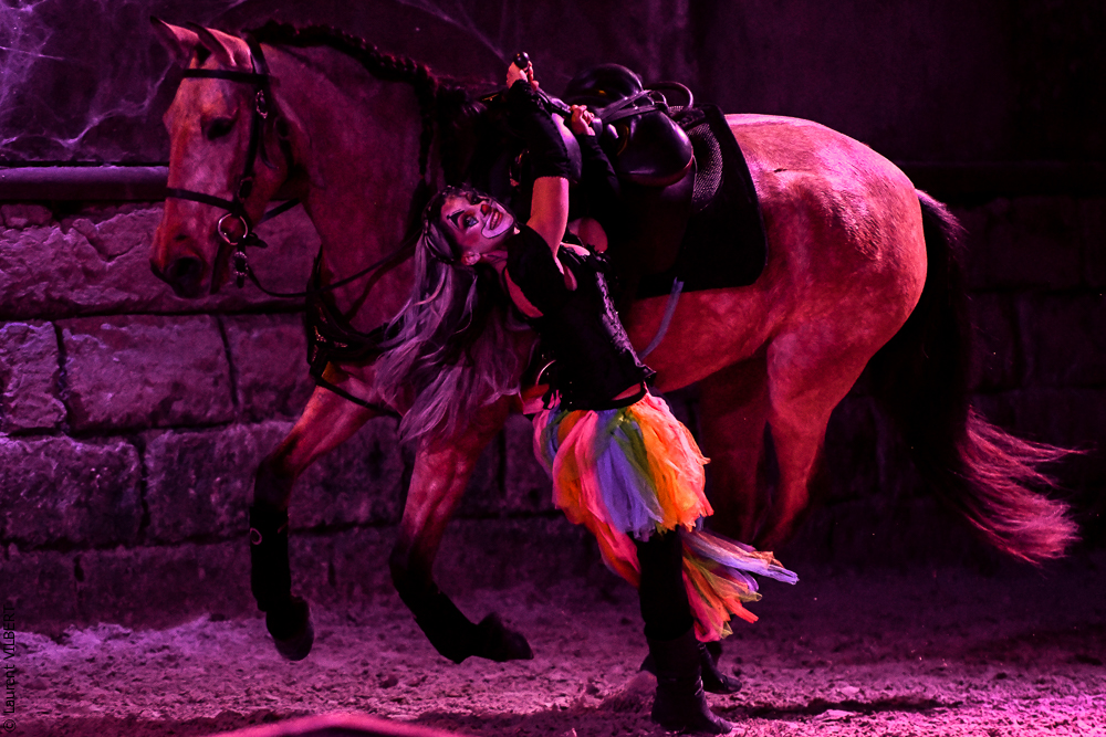 Haras Pin 20221103-0764