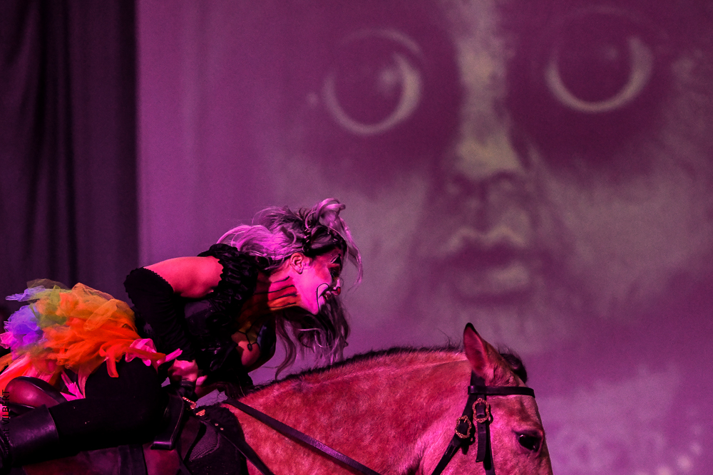 Haras Pin 20221103-0773