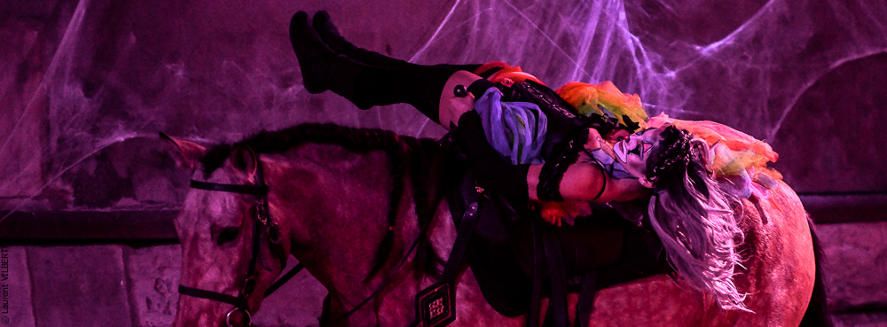 Haras Pin 20221103-0842