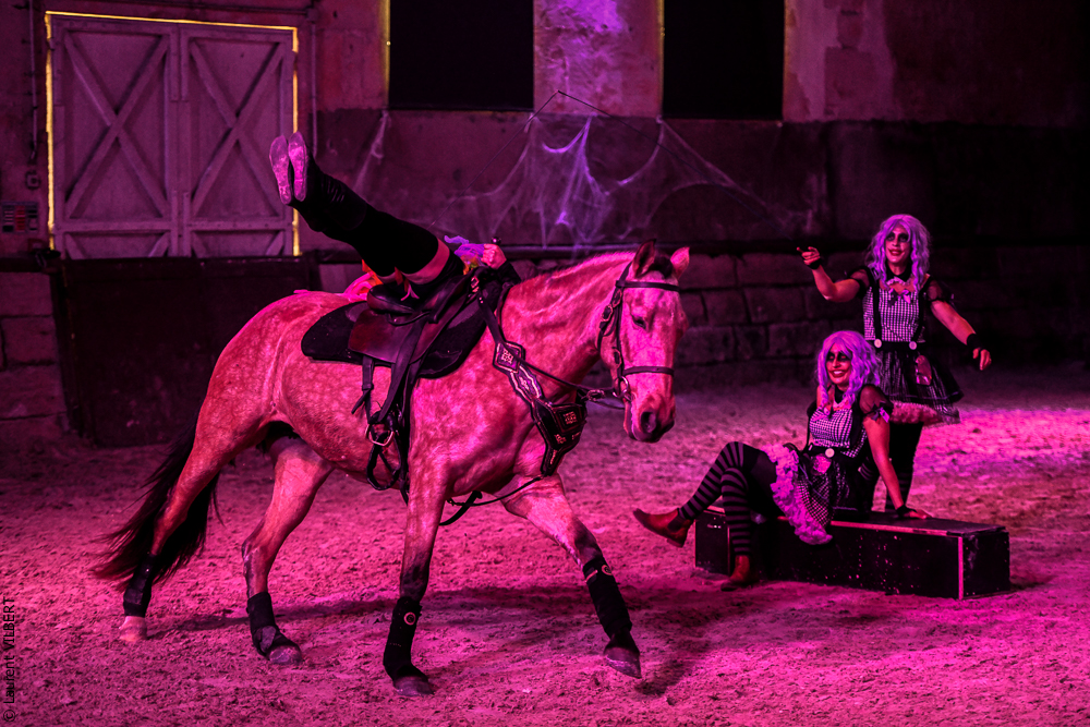 Haras Pin 20221103-0844