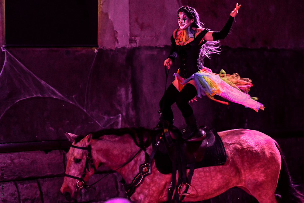 Haras Pin 20221103-0862