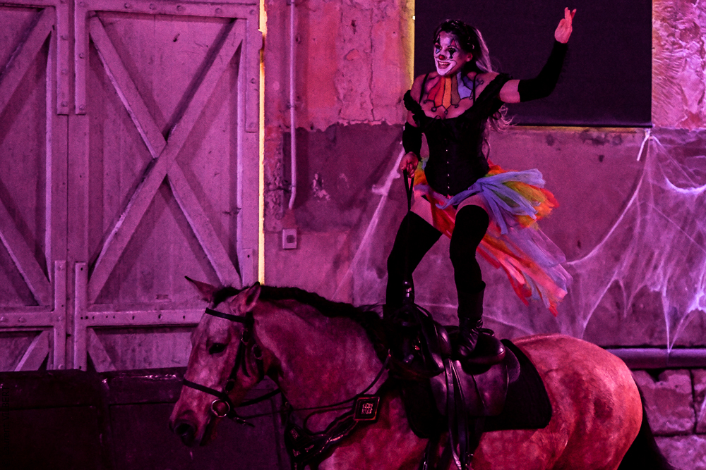 Haras Pin 20221103-0863