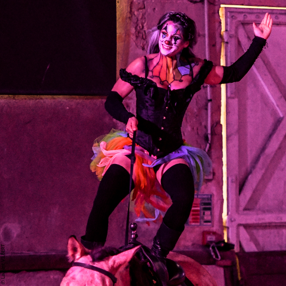 Haras Pin 20221103-0866