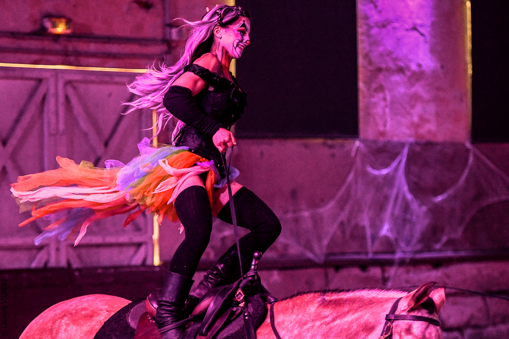 Haras Pin 20221103-0869