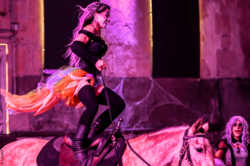 Haras Pin 20221103-0870