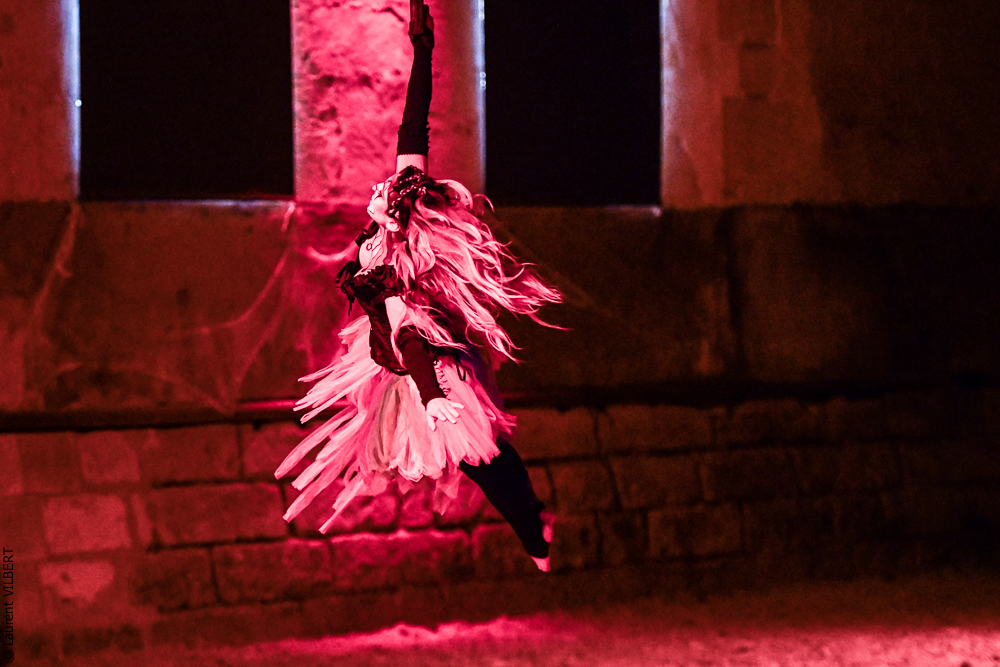 Haras Pin 20221103-1261