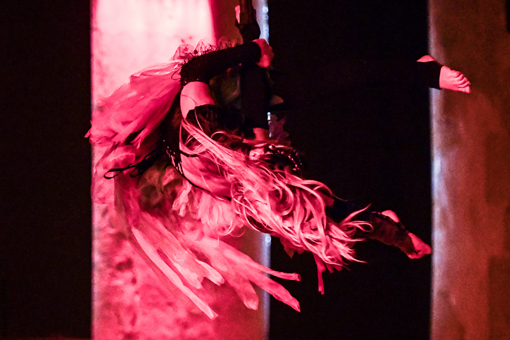 Haras Pin 20221103-1266