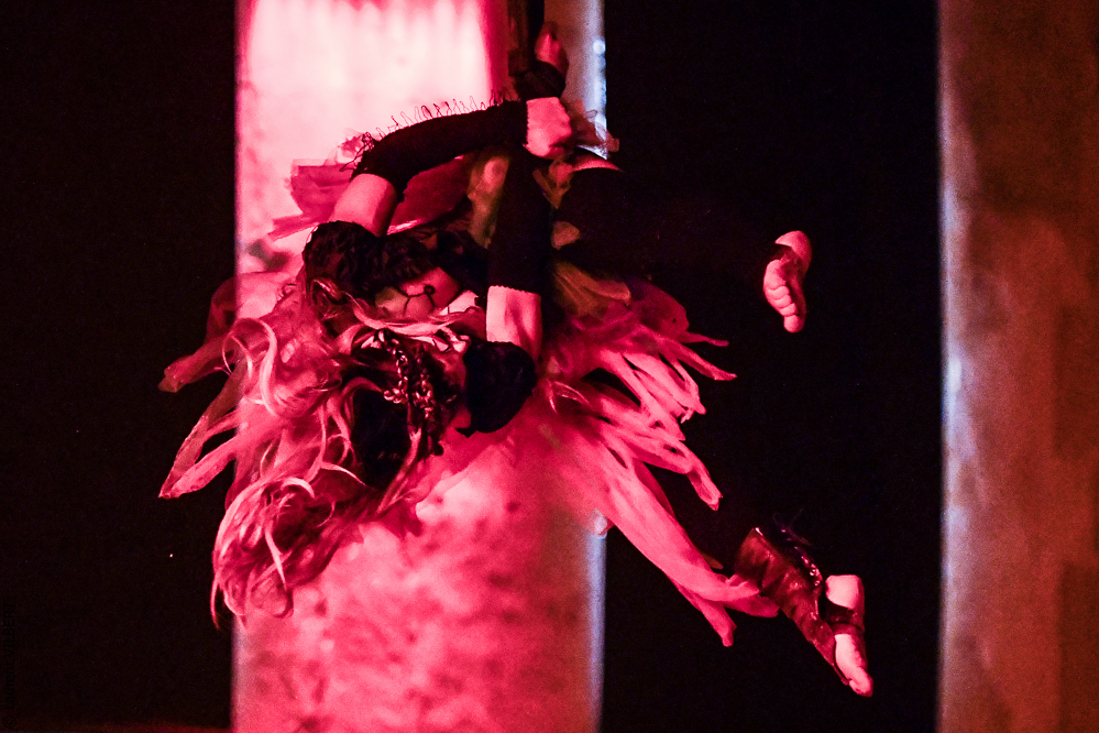 Haras Pin 20221103-1267