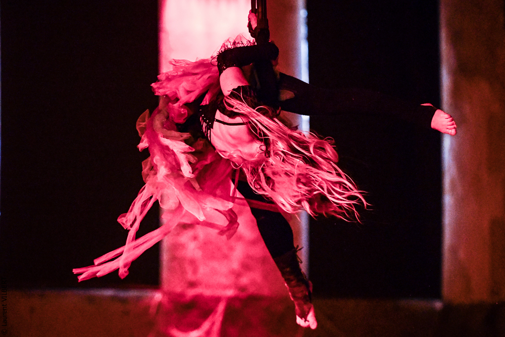 Haras Pin 20221103-1268