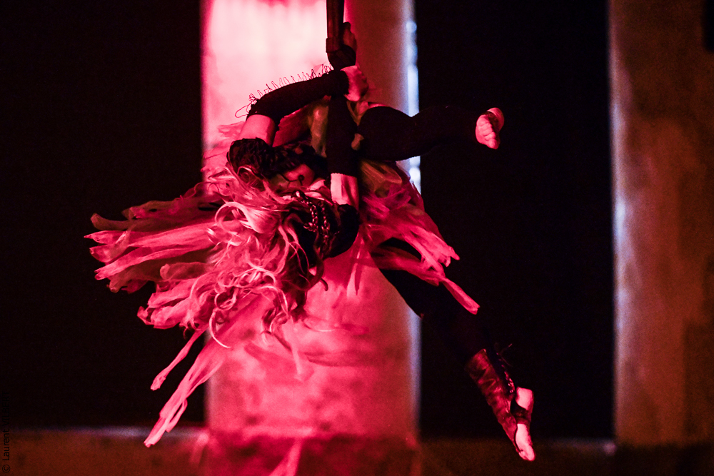 Haras Pin 20221103-1269