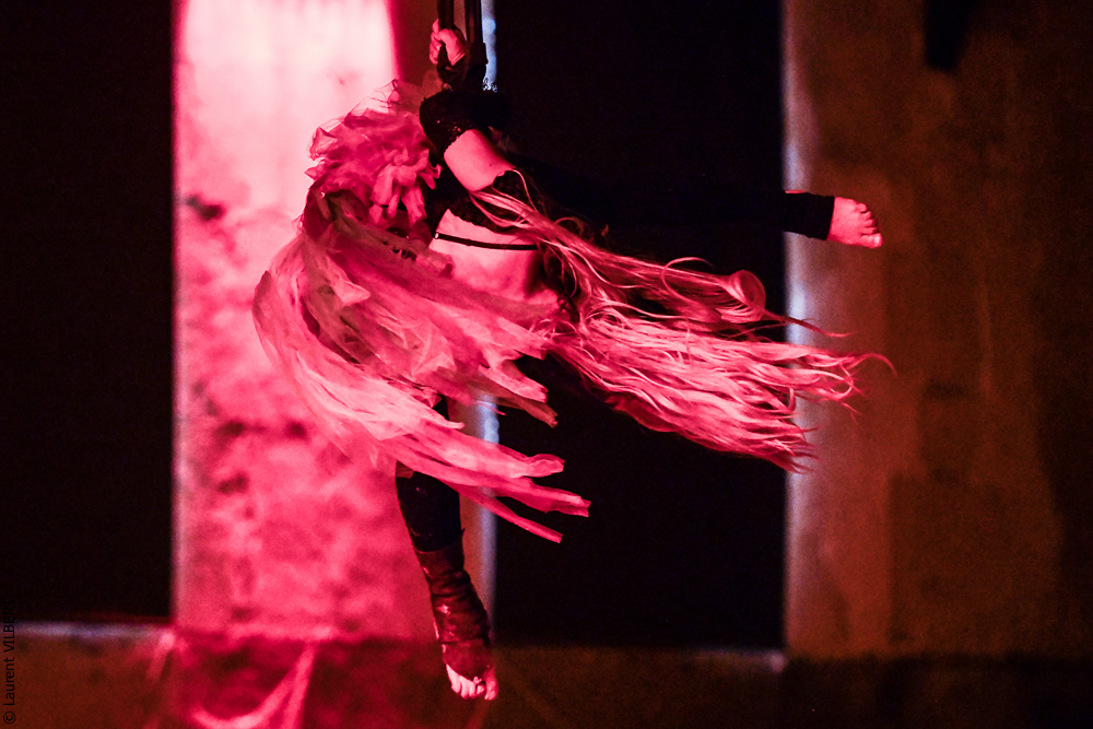 Haras Pin 20221103-1271