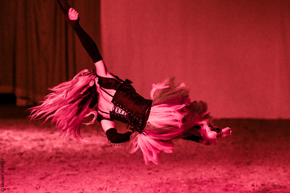 Haras Pin 20221103-1276