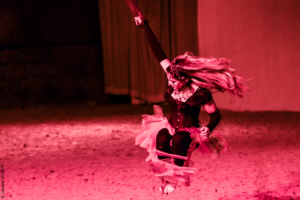 Haras Pin 20221103-1278