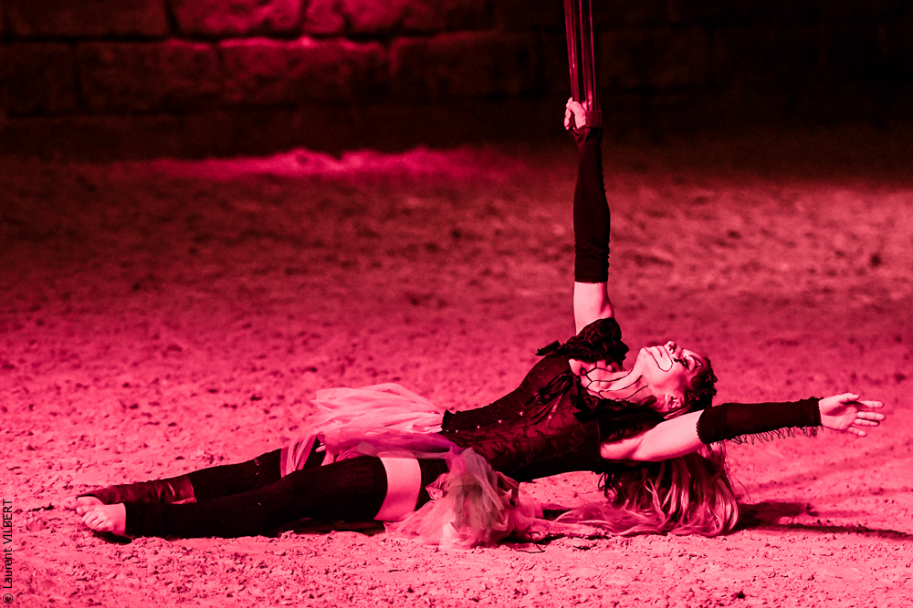 Haras Pin 20221103-1297