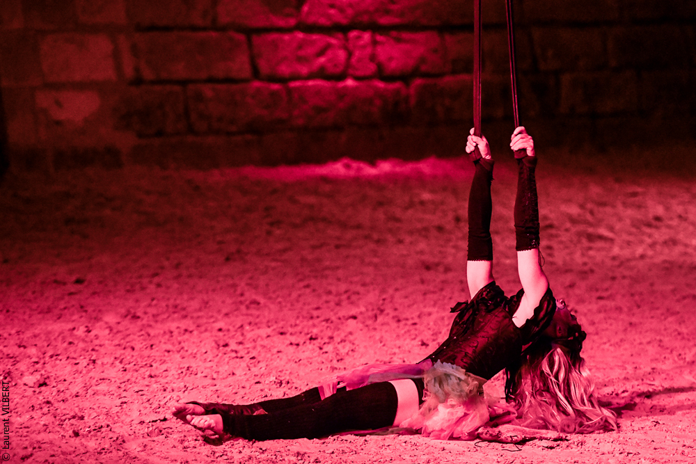 Haras Pin 20221103-1301