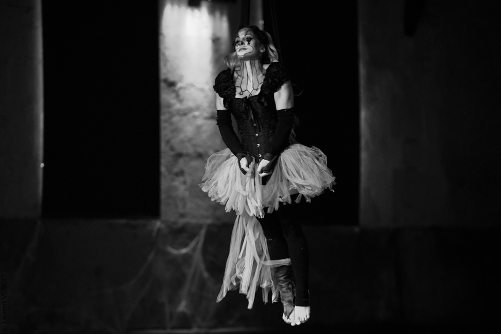 Haras Pin 20221103-1308