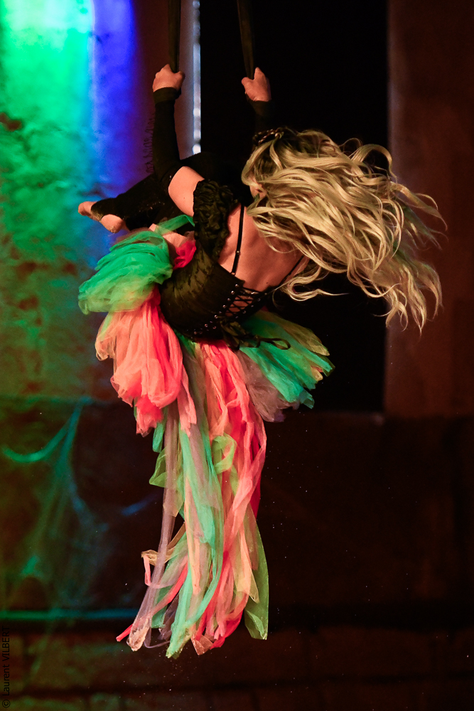 Haras Pin 20221103-1313