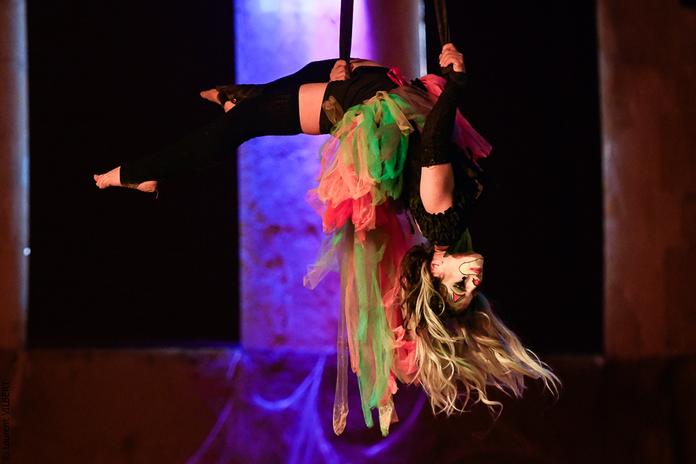 Haras Pin 20221103-1320