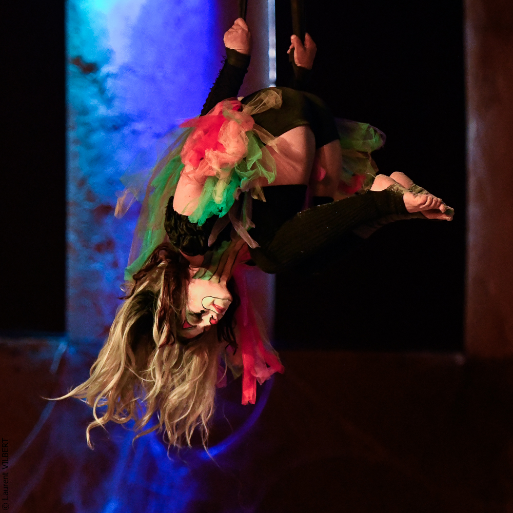 Haras Pin 20221103-1342