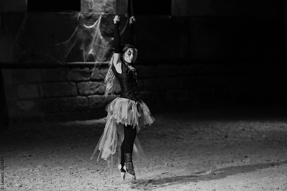 Haras Pin 20221103-1344