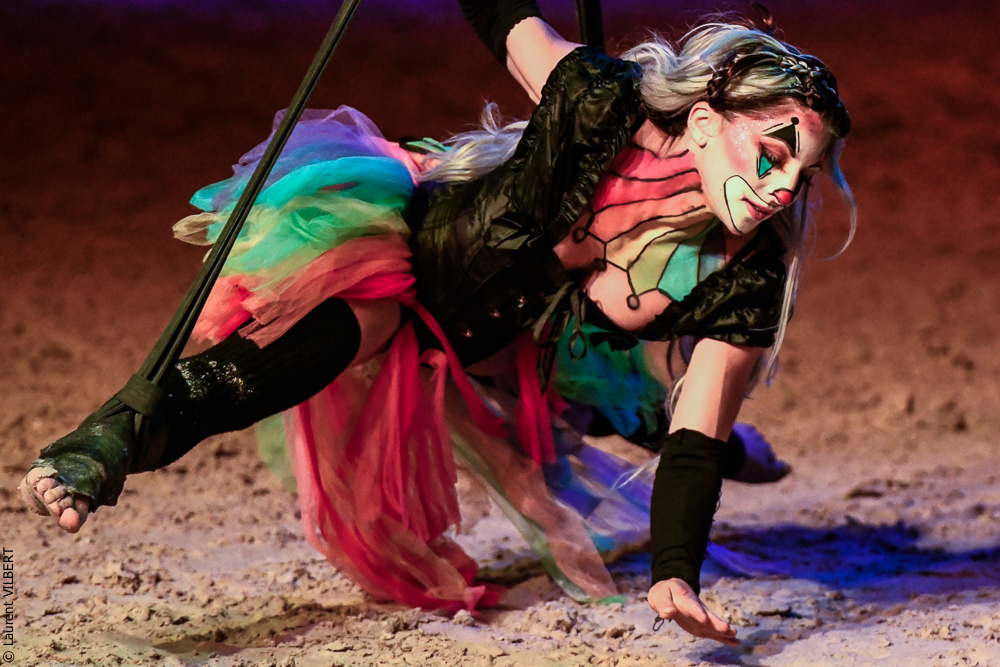 Haras Pin 20221103-1353