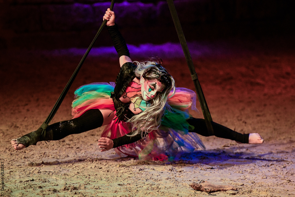 Haras Pin 20221103-1356