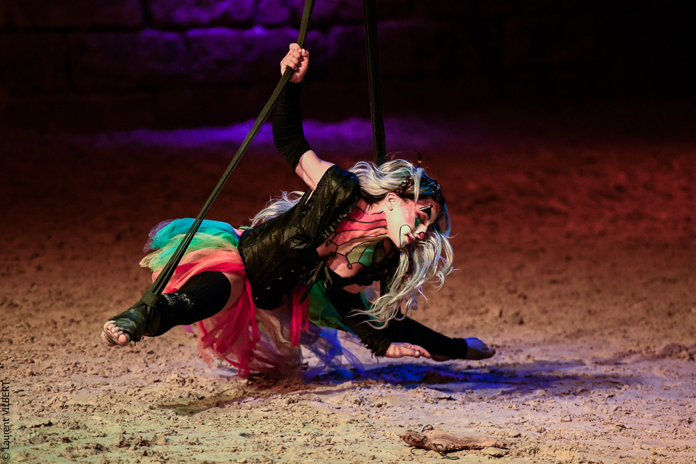 Haras Pin 20221103-1358