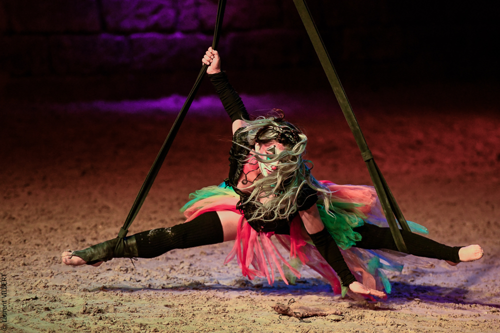 Haras Pin 20221103-1360