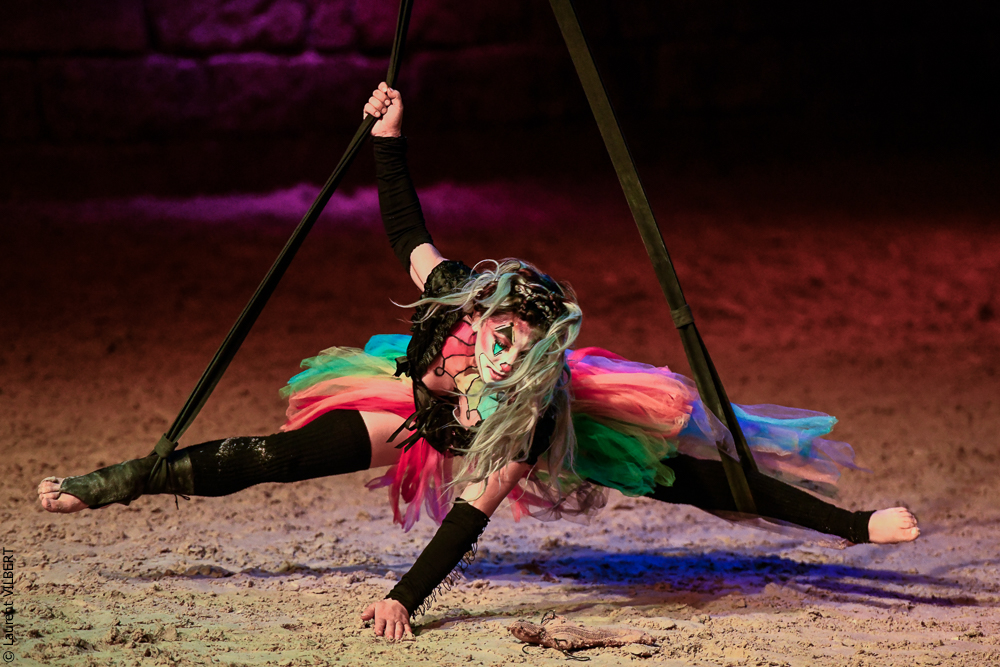 Haras Pin 20221103-1364