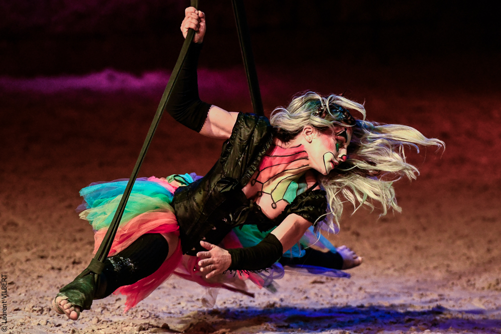 Haras Pin 20221103-1366