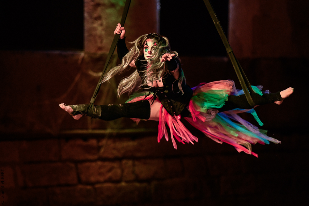 Haras Pin 20221103-1373