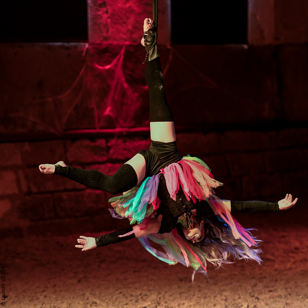 Haras Pin 20221103-1387