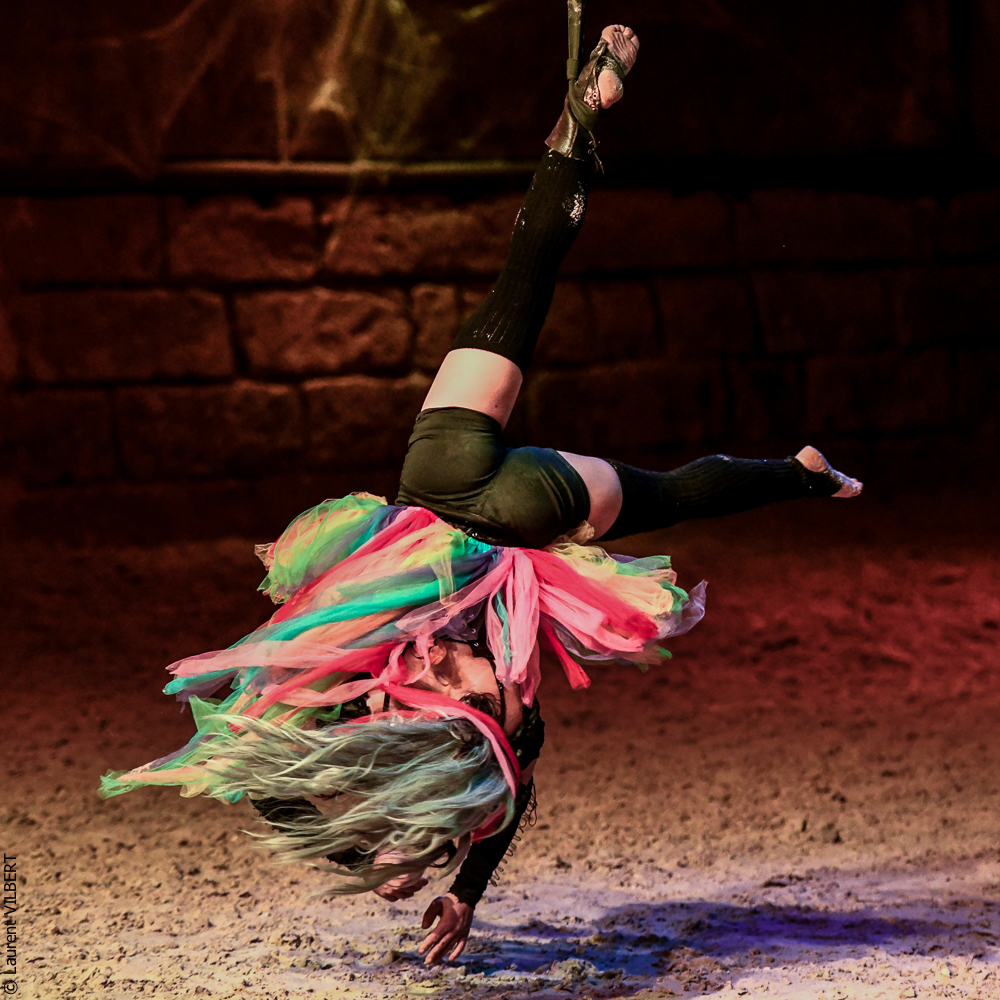 Haras Pin 20221103-1389