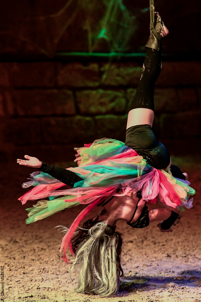 Haras Pin 20221103-1390