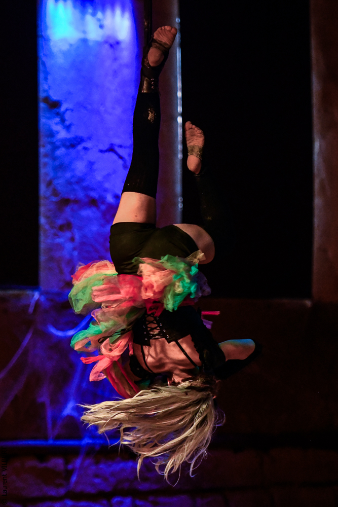 Haras Pin 20221103-1391