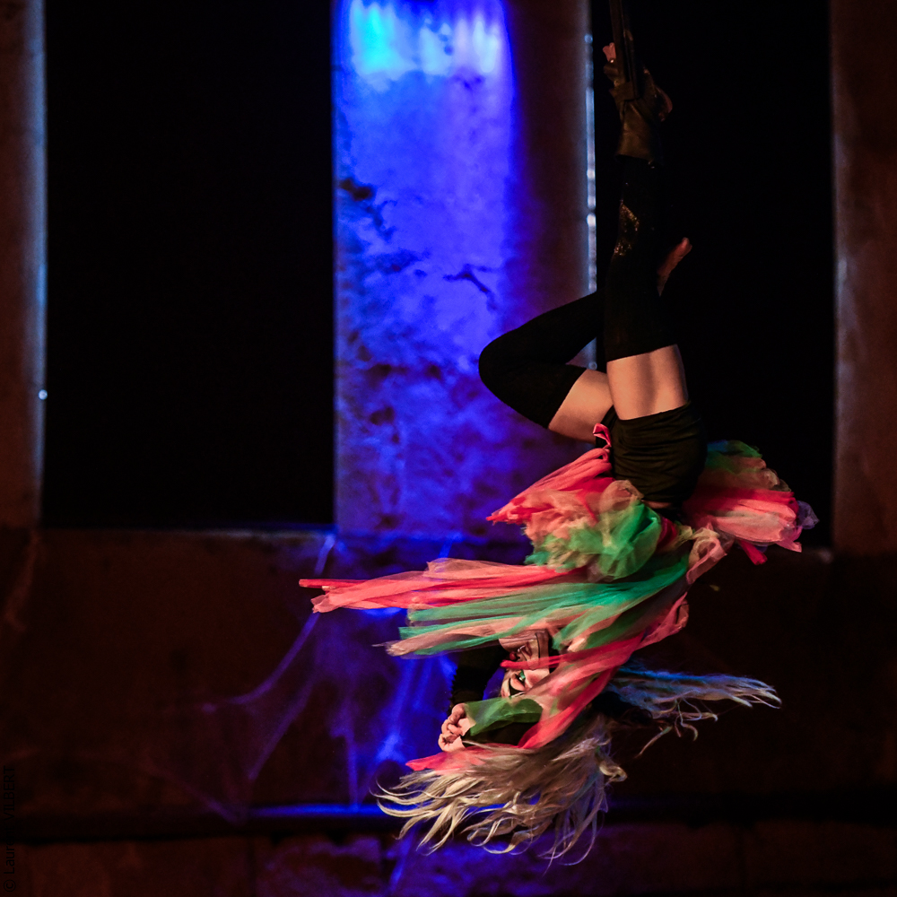 Haras Pin 20221103-1392