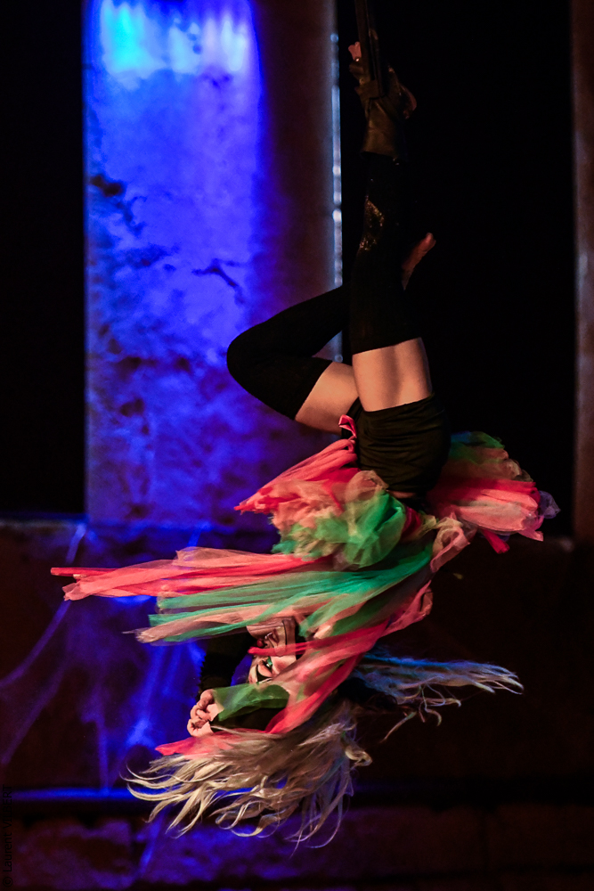 Haras Pin 20221103-1392