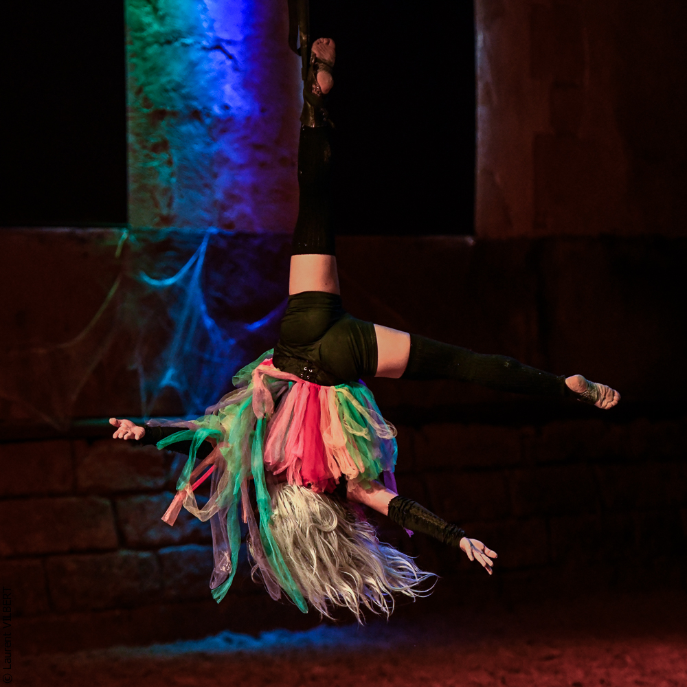 Haras Pin 20221103-1395