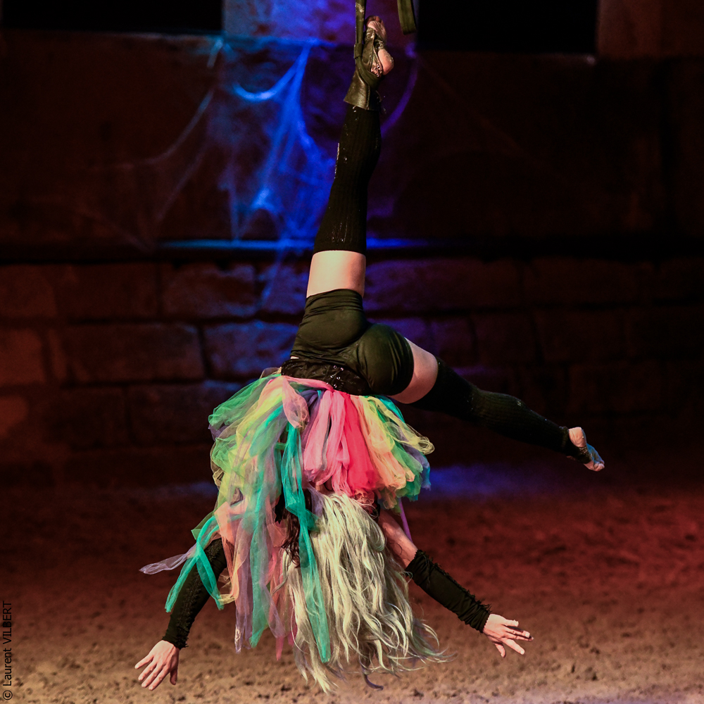 Haras Pin 20221103-1398