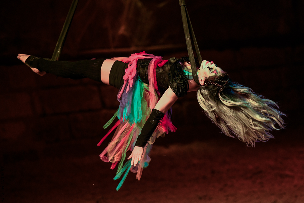 Haras Pin 20221103-1408