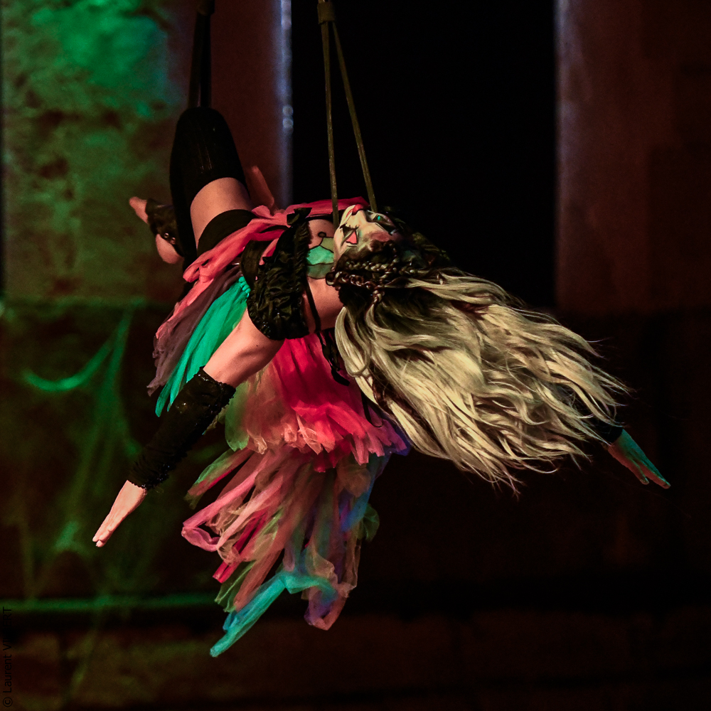 Haras Pin 20221103-1415