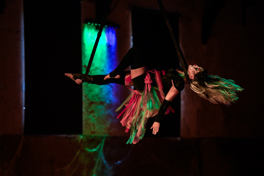 Haras Pin 20221103-1419