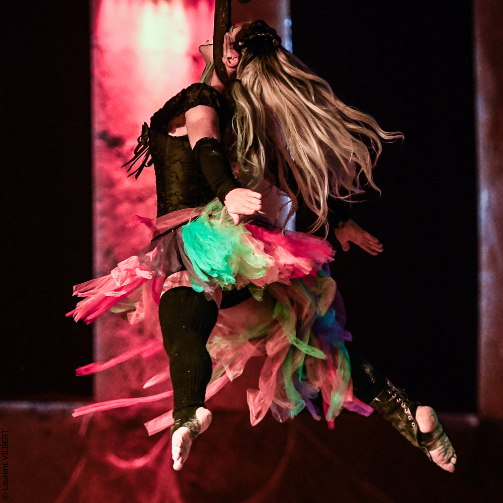 Haras Pin 20221103-1432