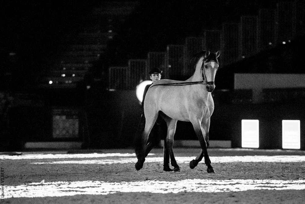 Nuit Iberique 20190206-0361