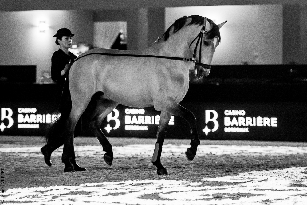 Nuit Iberique 20190206-0365