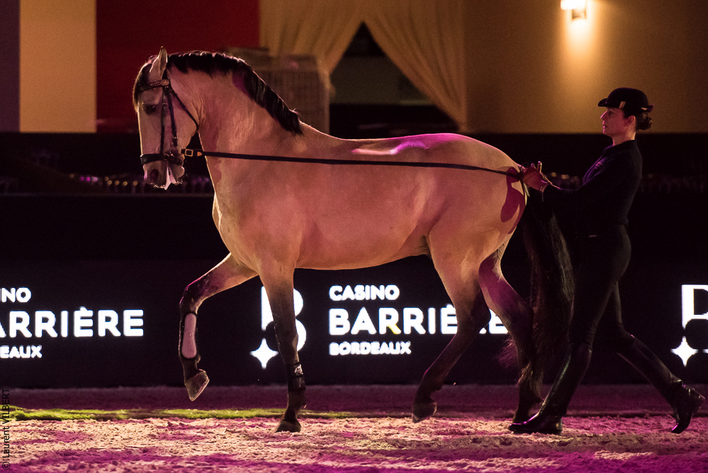 Nuit Iberique 20190206-0379