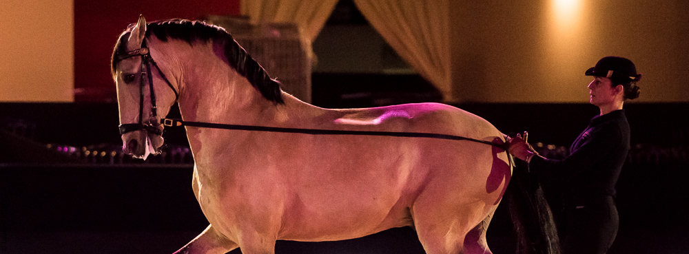 Nuit Iberique 20190206-0379